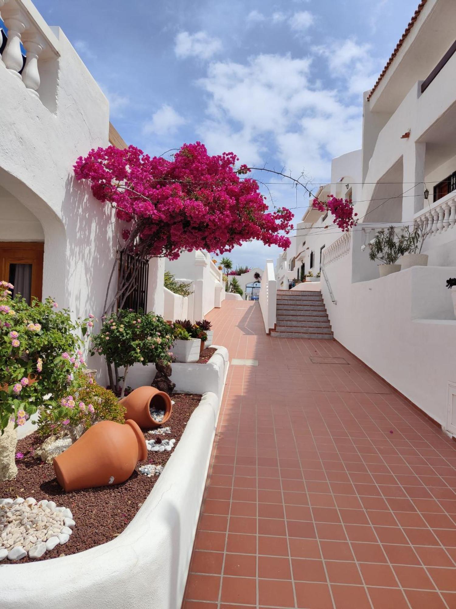 Port Royale Lejlighed Los Cristianos  Eksteriør billede